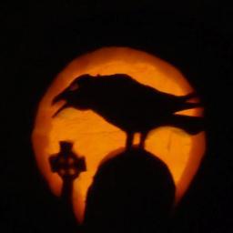 michael93246859's profile picture. 