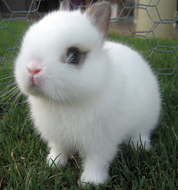 starlov's profile picture. 