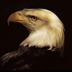 Arsenal Arms
A New England Firearms Training and Sales Company