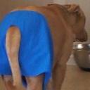 perry andrews - @perry72364897 - Twitter