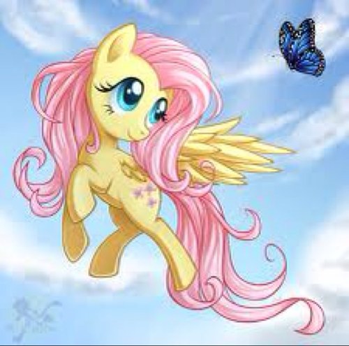 Uh.. Hello... I'm... Fluttershy... Or a copy of her... Eep! Oh, you are here for an animal?! Come this way!