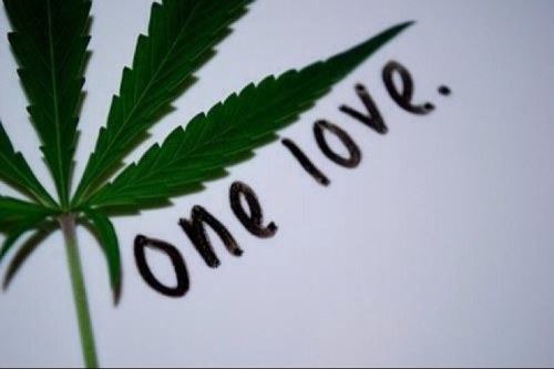 #LegalizeMarijuana Tweeting under the influence. Mellow vibes, RT & enjoy Stoner Tweets - Follow @stonerjesus420
