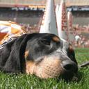 Bobby Malone - @UTVOLNJ - Twitter