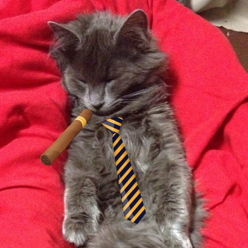 U can call meh Shitsqueaks.