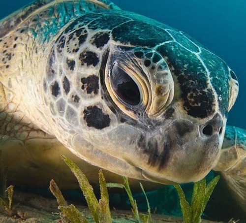 RealJonEd's profile picture. It is never what you want it to be, it is only what you make of it.