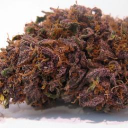 Showing off the best strains of marijuana to the world, one gram at a time. Stay smokey my friends.