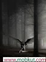 fairlybias's profile picture. I question answers. I accept everything and nothing. Waiting for you to change my mind. My favorite topic is religion. Feel free to butt in...