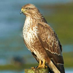 sjp63's profile picture. 