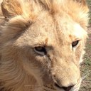 Juan Masso Mejorado - @naujonac - Twitter