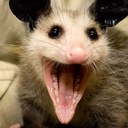 Alan Aldape - @Aldape_san - Twitter