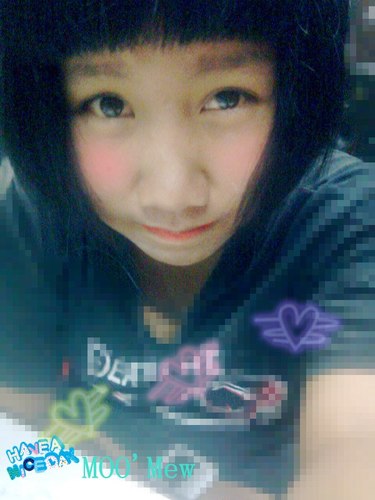 MewLoveBall's profile picture. 