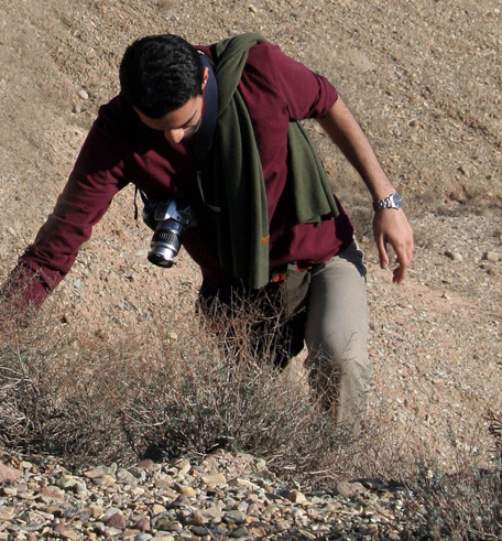 Hamedpou's profile picture. 