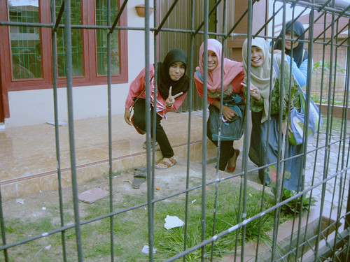 Mia_audinaCC's profile picture. 