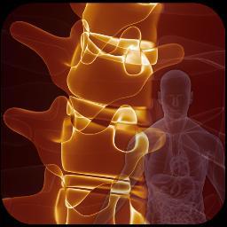 CHIROspin™ is a iOS application designed by chiropractors as a patient education tool for the clinician who works in the complex world of spinal pathology.