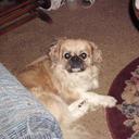 David Daryl Thompson - @david_daryl - Twitter