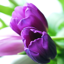 alaetkili's profile picture. AK Partili..3 çocuk annesi..öğretmen..sevgi kelebeği :)