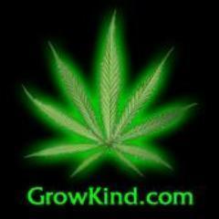 https://t.co/tWLXlDUKlM

We are an educational marijuana cultivation website & forum. Cultivating good buds online for 15 years.