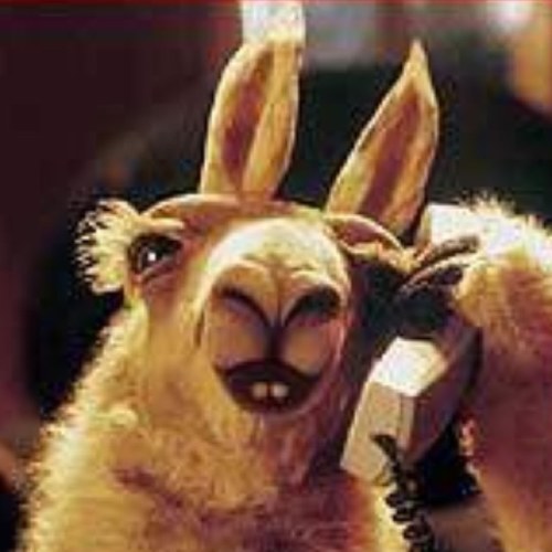 llamaqellama's profile picture. Ola k ase