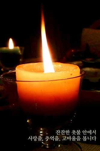 insu610425's profile picture. 스승보다 위대한 미소