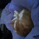 Grace Adele - @Graciewashere - Twitter