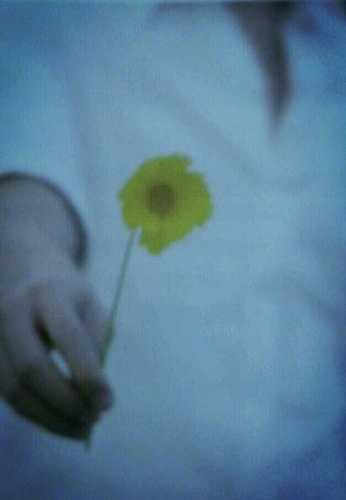 hskim0615's profile picture. 비바람이 불어와 흔들리우고 쓰러질 지라도 서기 위해 치사해 지지 않으며.. 지혜와 슬기 (와신상담)를 친구삼아.. [결국 /서/겠다 !^^]