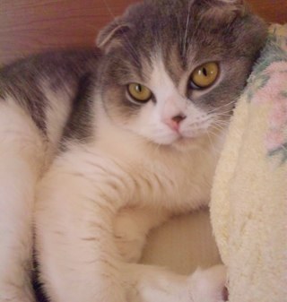 新日本プロレスと、動物が大好物ですo(^▽^)o名古屋と、四日市の大会は参加しています。海外ドラマ、映画が大スキです。csiシリーズ、ホラーなんでも観ますヾ(＠⌒ー⌒＠)ノフォローお願いします☻
