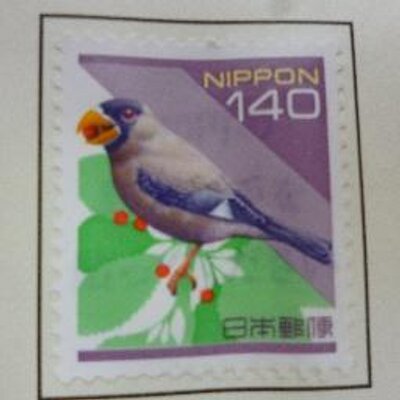 こじか