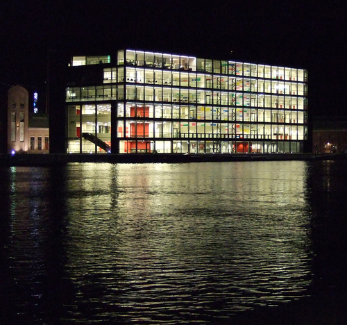 dbib's profile picture. 