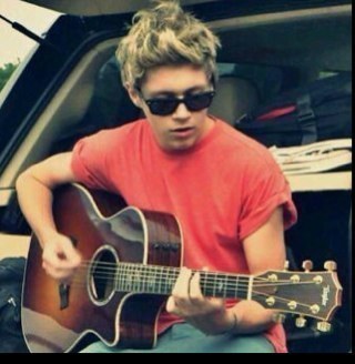 2 irish directioners♧,Niall is perfect, our dream is for him to know how much we love him♡♡♡♡♡