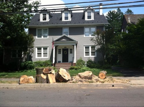 johndfeyrer's profile picture. 