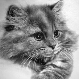 jialongjiang's profile picture. hi,I'm developer on sharepoint!