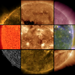 Daisy_LH's profile picture. 