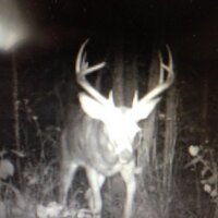 David (@davidwkay) 's Twitter Profile