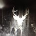 David (@davidwkay) Twitter profile photo