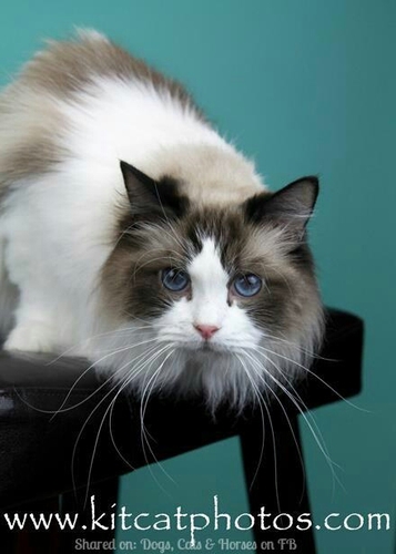 sdh60406's profile picture. 