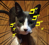 わらび餠is a lowlifeさんのプロフィール画像