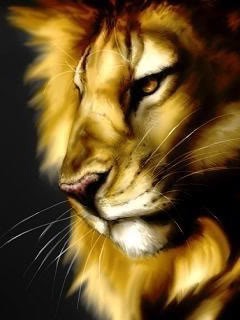 私はライオンキッドです、
ライオンは強く、速く、美しい。
百獣の王として、その動物界における計り知れないプレゼンスを持つライオンを目標にしました。
ライオンキッドが実践するライオンライフを是非ご注目ください。