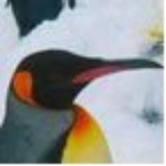 sidus's profile picture. ゲームか仕事の人。もっとバスケと読書に回帰したい。お気軽にfollow,remove,blockしてください。