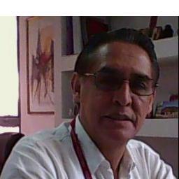 Consultor de Gestión Estratégica en Innovación y Competitividad, Analista de Política Económia,Negocios Internacionales y Gobierno