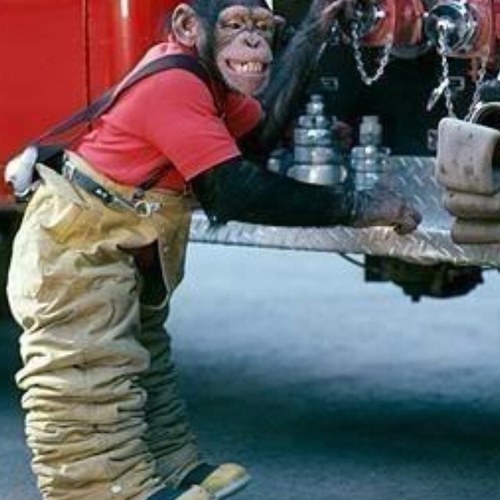 leadlikeaduck's profile picture. A Captain who has had the luxury of both good and bad leaders. Just wanting to pass on good info to train up my replacement.