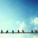 Fiona - @fiona_sung - Twitter