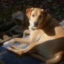 max richardson - @max1943 - Twitter