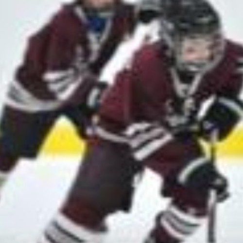 You miss 100% of the shots you dont take ~Wayne Gretzky