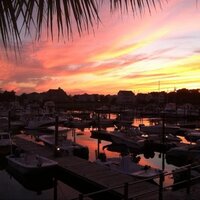 Todd_Hicks (@hicks_todd) 's Twitter Profile