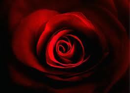 Moooooon55's profile picture. , الغربة تكسرنا .. تقوينا .. تعيد تشكيل أفكارنا وتوجهاتنا في الحياة،،