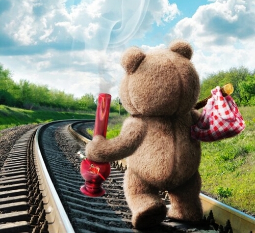 I'm a fucking Teddy Bear.