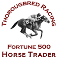 The TRF500 Horse Trader is a website for buying and selling products and services for the horse racing community. Visit http://t.co/VjuDtZ5r