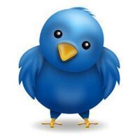 相互フォロー保証リフォローbot (@asutanasia) 's Twitter Profile