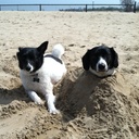 Mark Ekstrom - @MCEkstrom - Twitter