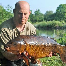 matt177stevens's profile picture. 